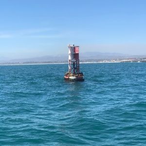 Meet your Posher, Shayla